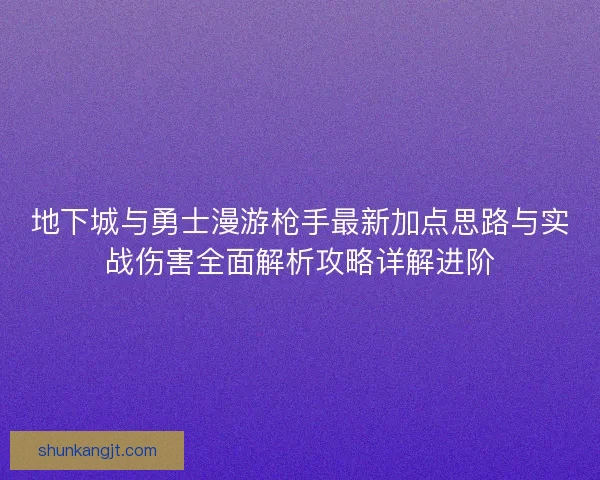 地下城与勇士漫游枪手最新加点思路与实战伤害全面解析攻略详解进阶